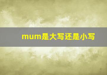 mum是大写还是小写