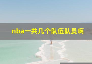 nba一共几个队伍队员啊