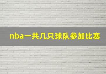 nba一共几只球队参加比赛