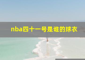 nba四十一号是谁的球衣