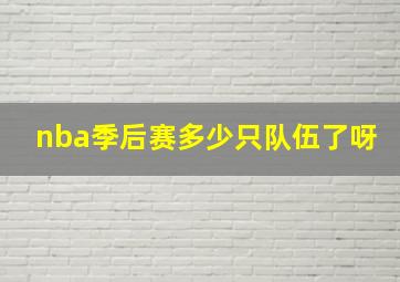 nba季后赛多少只队伍了呀