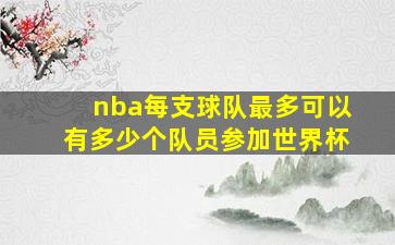 nba每支球队最多可以有多少个队员参加世界杯