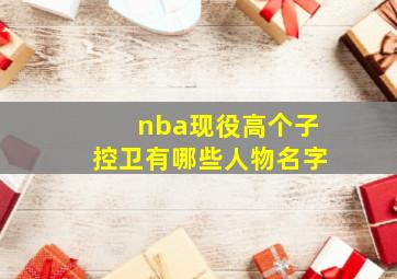 nba现役高个子控卫有哪些人物名字