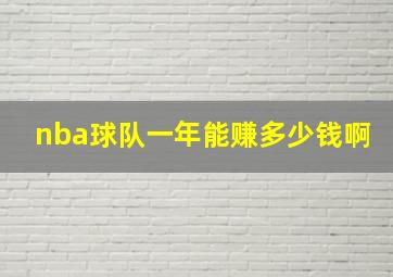 nba球队一年能赚多少钱啊