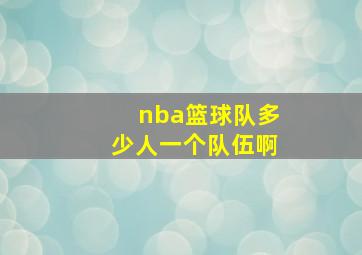 nba篮球队多少人一个队伍啊