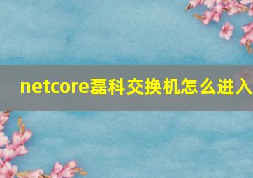 netcore磊科交换机怎么进入