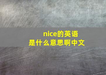 nice的英语是什么意思啊中文