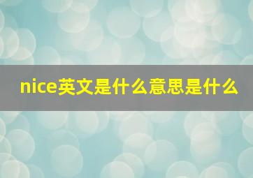 nice英文是什么意思是什么