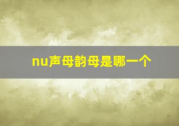 nu声母韵母是哪一个