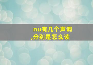 nu有几个声调,分别是怎么读