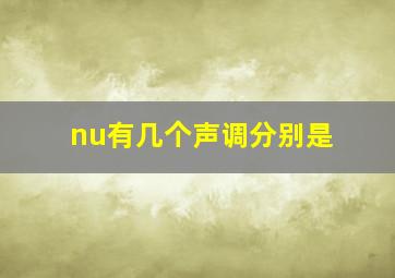 nu有几个声调分别是