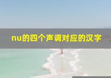 nu的四个声调对应的汉字