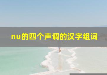 nu的四个声调的汉字组词