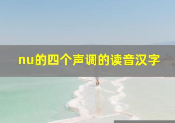 nu的四个声调的读音汉字