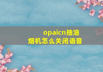 opaicn抽油烟机怎么关闭语音