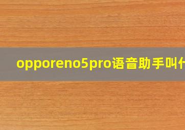 opporeno5pro语音助手叫什么