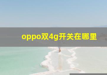 oppo双4g开关在哪里