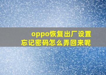 oppo恢复出厂设置忘记密码怎么弄回来呢