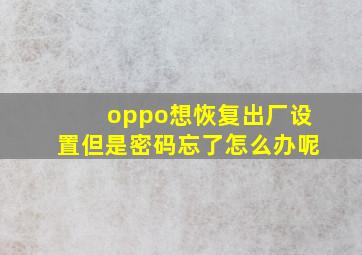 oppo想恢复出厂设置但是密码忘了怎么办呢