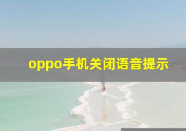 oppo手机关闭语音提示