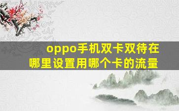 oppo手机双卡双待在哪里设置用哪个卡的流量