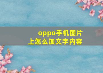 oppo手机图片上怎么加文字内容