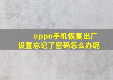 oppo手机恢复出厂设置忘记了密码怎么办呢