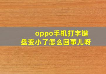 oppo手机打字键盘变小了怎么回事儿呀