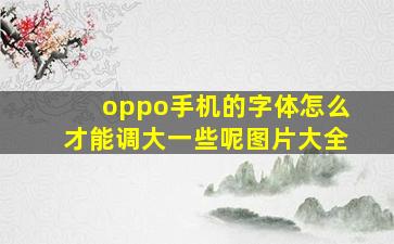 oppo手机的字体怎么才能调大一些呢图片大全