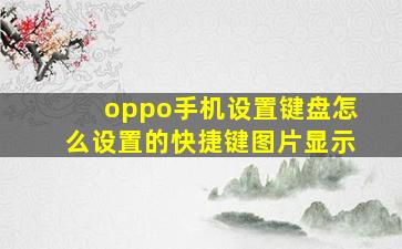 oppo手机设置键盘怎么设置的快捷键图片显示