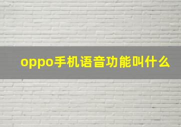 oppo手机语音功能叫什么