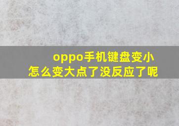 oppo手机键盘变小怎么变大点了没反应了呢