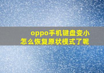 oppo手机键盘变小怎么恢复原状模式了呢