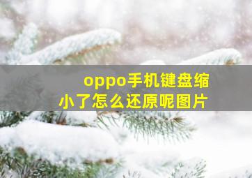 oppo手机键盘缩小了怎么还原呢图片