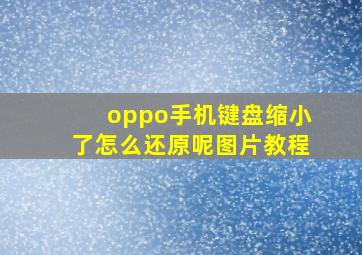 oppo手机键盘缩小了怎么还原呢图片教程