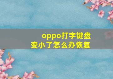 oppo打字键盘变小了怎么办恢复