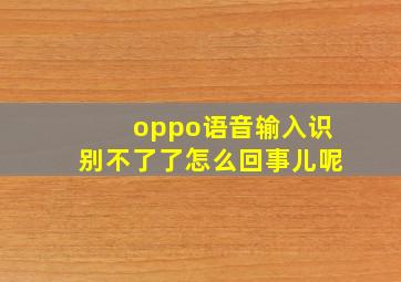 oppo语音输入识别不了了怎么回事儿呢