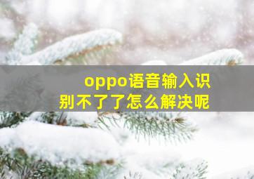 oppo语音输入识别不了了怎么解决呢