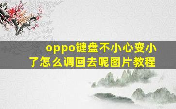 oppo键盘不小心变小了怎么调回去呢图片教程