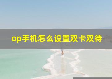 op手机怎么设置双卡双待