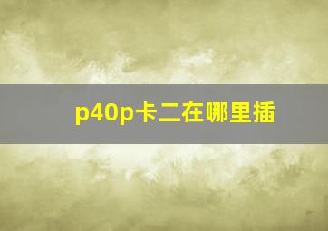 p40p卡二在哪里插