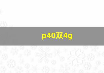 p40双4g