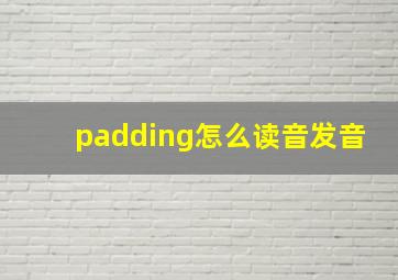 padding怎么读音发音