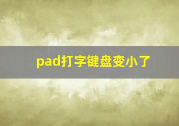 pad打字键盘变小了