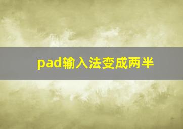 pad输入法变成两半