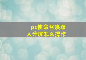 pc使命召唤双人分屏怎么操作