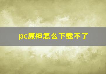 pc原神怎么下载不了