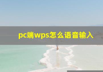 pc端wps怎么语音输入