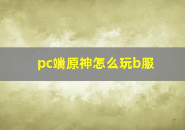 pc端原神怎么玩b服