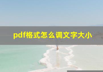 pdf格式怎么调文字大小